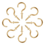 Polished Brass Shouldered Cup Hooks – Screw-In Metal Wall Hooks for Mugs, Keys, Lights & Storage – Heavy Duty Decorative Finish