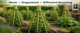 Wigwam Cane Grips for Climbing Plants – 10 Hole Bamboo Cane Holders for Sweet Peas, Beans, Tomato & Cucumber – Reusable Garden Plant Support Rings Pack of 2