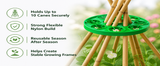 Wigwam Cane Grips for Climbing Plants – 10 Hole Bamboo Cane Holders for Sweet Peas, Beans, Tomato & Cucumber – Reusable Garden Plant Support Rings Pack of 2