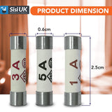 Small Fuses Shaver Adaptor Fuse 1A BS646 Electrical Plug Mixed mini fuses 1, 3, and 5 amp (2 of each)