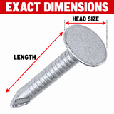 Clout Nails - Heavy Duty - for Wood & Roofing – Galvanised Steel – 13mm, 15mm, 20mm, 25mm – Pack for Joinery, Upholstery & Carpentry