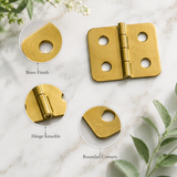 Brass Plated Flap Hinges – Compact Cabinet & Box Hinges for Furniture, Cupboards, Small Boxes & Joinery – 20mm x 10mm or 25mm x 19mm