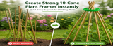 Wigwam Cane Grips for Climbing Plants – 10 Hole Bamboo Cane Holders for Sweet Peas, Beans, Tomato & Cucumber – Reusable Garden Plant Support Rings Pack of 2