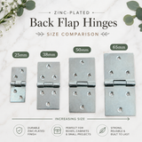 Back Flap Hinges – 25mm, 38mm, 50mm, 65mm – Heavy-Duty Hinges for Doors, Cabinets, and Furniture