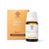 Citrus Riviera Diffuser Oil 10ml Mediterranean Citrus Oil Secret of Vedas