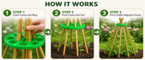 Wigwam Cane Grips for Climbing Plants – 10 Hole Bamboo Cane Holders for Sweet Peas, Beans, Tomato & Cucumber – Reusable Garden Plant Support Rings Pack of 2