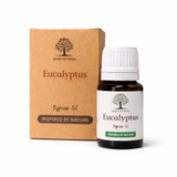Eucalyptus Diffuser Oil 10ml Fresh Home Fragrance Oil Secret of Vedas