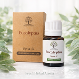 Eucalyptus Diffuser Oil 10ml Fresh Home Fragrance Oil Secret of Vedas