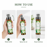 Mint Air Freshener Spray 100ml Alcohol Free Room Fragrance Secret of Vedas