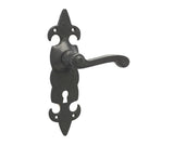 Fleur De Lys Suite Door Handle on Latchplate in Black/ latch/lock & Bathroom