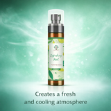 Mint Air Freshener Spray 100ml Alcohol Free Room Fragrance Secret of Vedas