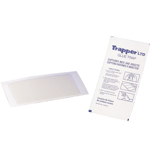 Trapper Ltd Glue Mouse Trap